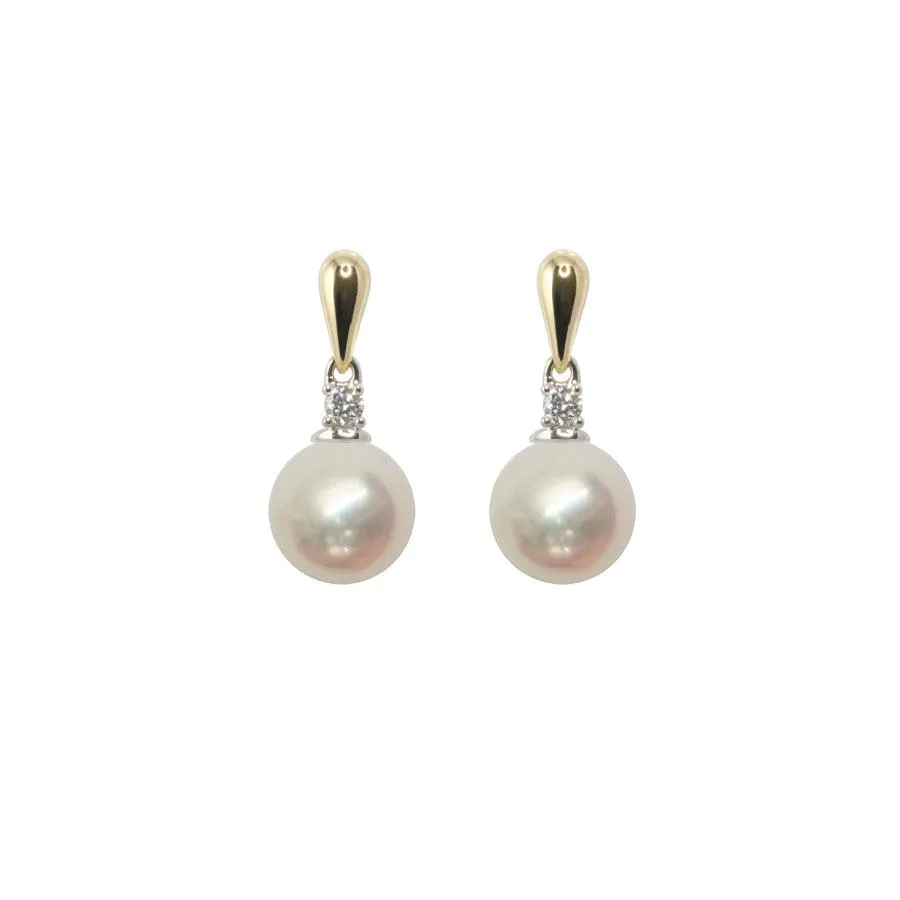 18ct Yellow Gold Akoya Pearl Earrings