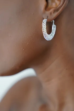 Silver Ring Earrings